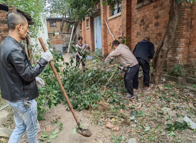 長運物業(yè)?:清除廠區(qū)雜草 消除安全隱患